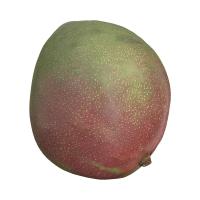Mango Fruit Retopo 3D Scan